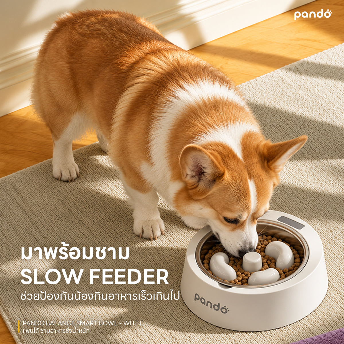 PANDO Balance Smart Bowl - White แพนโด้ ชามอาหารชั่งน้ำหนัก