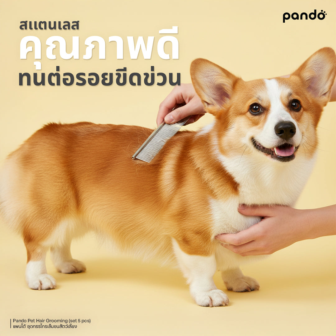 pando pet hair grooming (set 5 pcs) ชุดกรรไกรตัดขนสัตว์เลี้ยง 5 ชิ้น