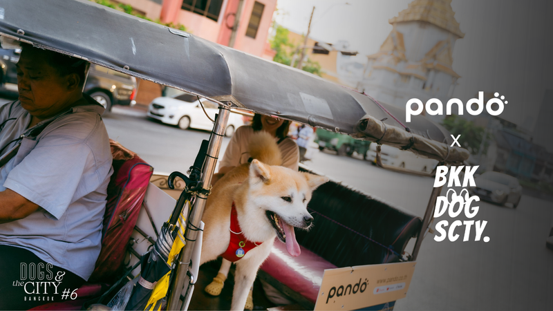 pando ร่วมสนับสนุน BKK DOG SOCIETY ในกิจกรรม Dogs & the CITY #6: ขับเคลื่อนกรุงเทพฯ สู่เมือง Pet-Friendly อย่างยั่งยืน