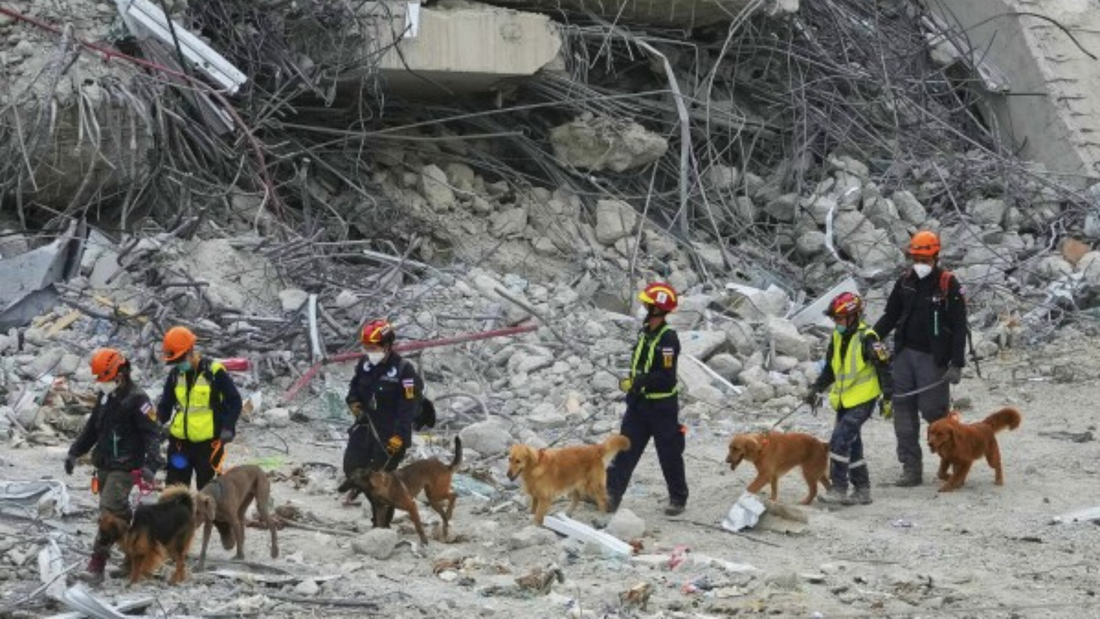 pando ร่วมสนับสนุนทีมสุนัข K9 ปฏิบัติงานช่วยเหลือผู้รอดชีวิตในเหตุการณ์แผ่นดินไหว