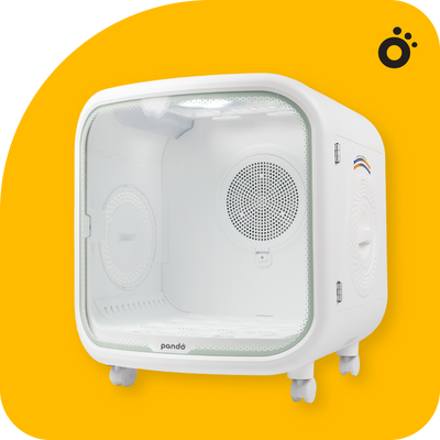 เครื่องเป่าขนและอุปกรณ์ตัดแต่งขน