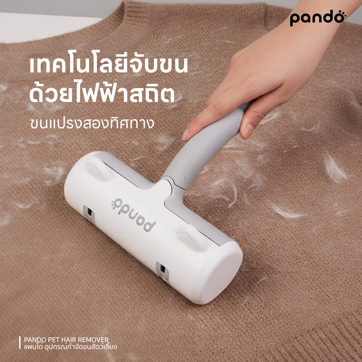 pando pet hair remover อุปกรณ์กำจัดขนสัตว์เลี้ยง