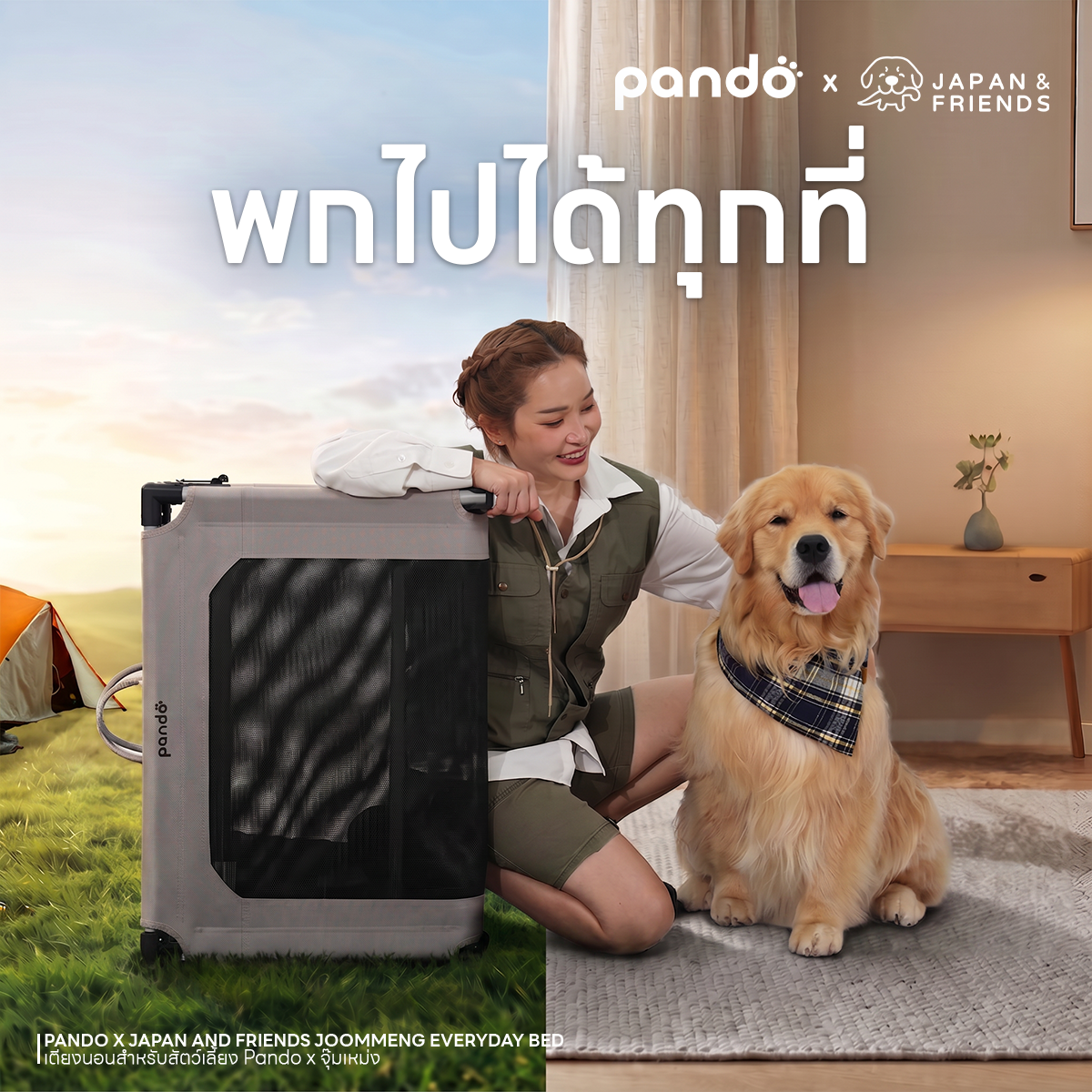 PANDO X JAPAN AND FRIENDS JOOMMENG EVERYDAY BED เตียงนอนสำหรับสัตว์เลี้ยง Pando X จุ๊มเหม่ง