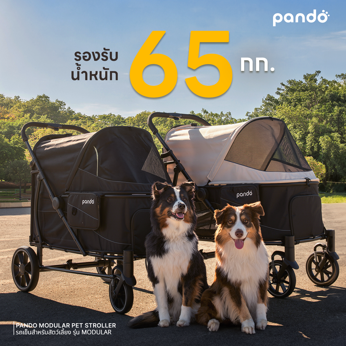 PANDO MODULAR Pet Stroller แพนโด้ รถเข็นสัตว์เลี้ยงรุ่น MODULAR