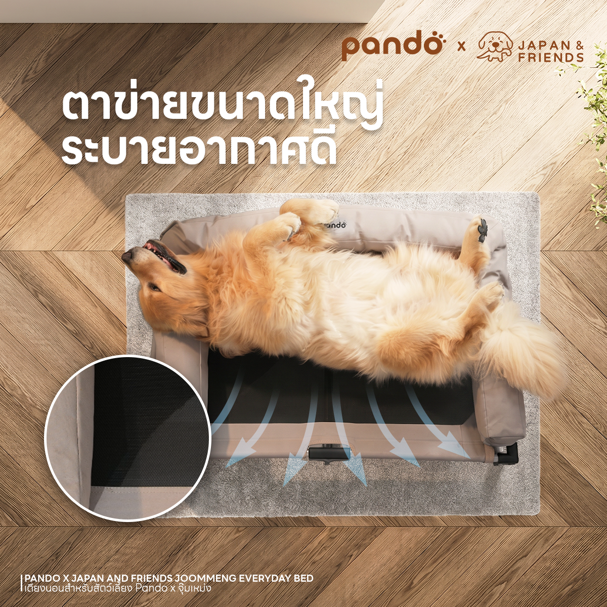 PANDO X JAPAN AND FRIENDS JOOMMENG EVERYDAY BED เตียงนอนสำหรับสัตว์เลี้ยง Pando X จุ๊มเหม่ง