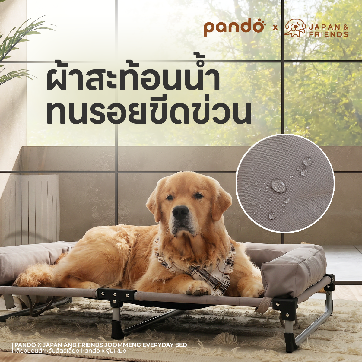 PANDO X JAPAN AND FRIENDS JOOMMENG EVERYDAY BED เตียงนอนสำหรับสัตว์เลี้ยง Pando X จุ๊มเหม่ง