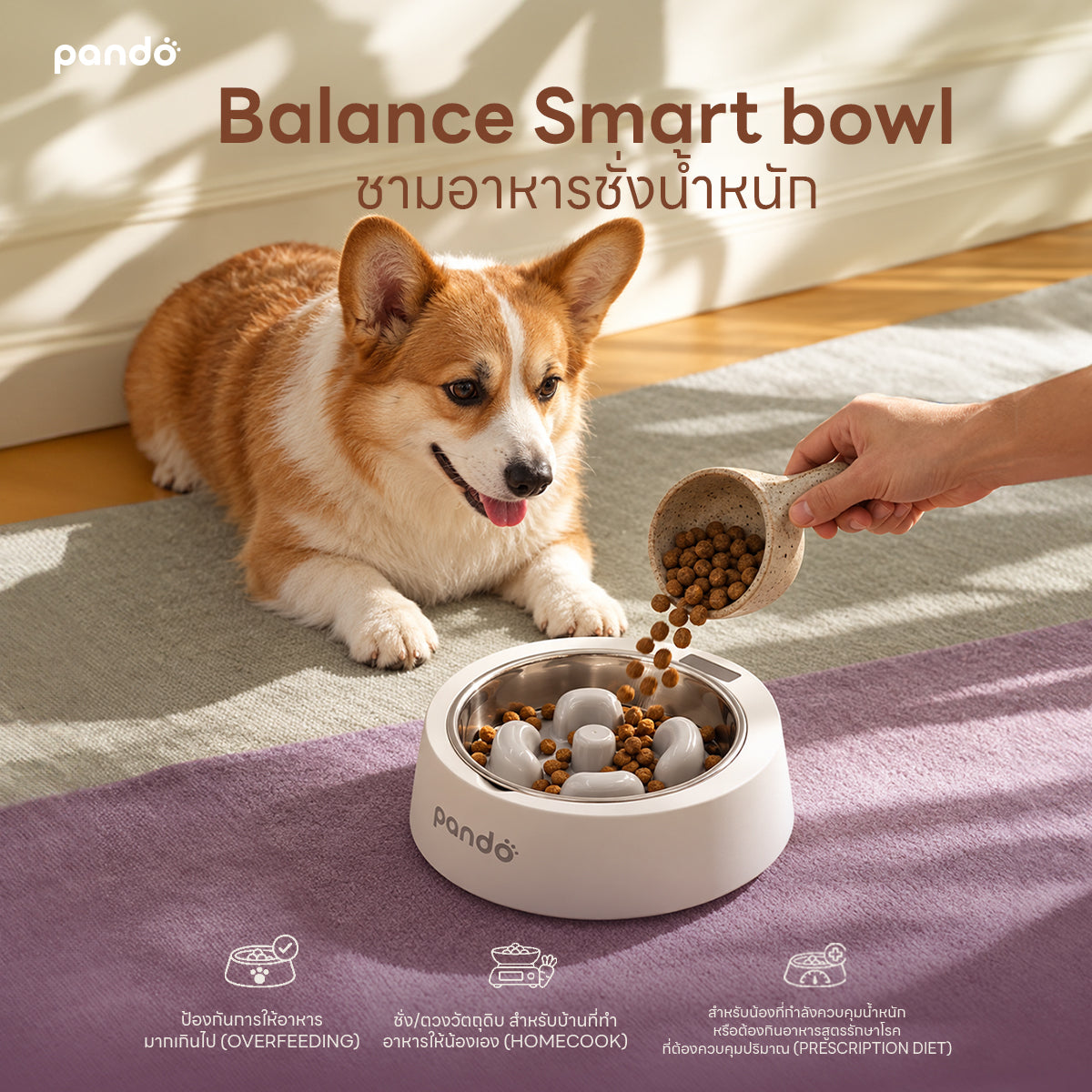 PANDO Balance Smart Bowl - White แพนโด้ ชามอาหารชั่งน้ำหนัก