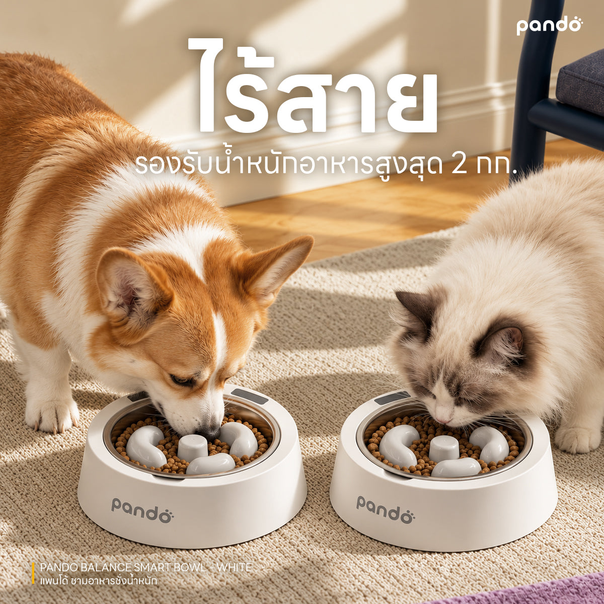 PANDO Balance Smart Bowl - White แพนโด้ ชามอาหารชั่งน้ำหนัก