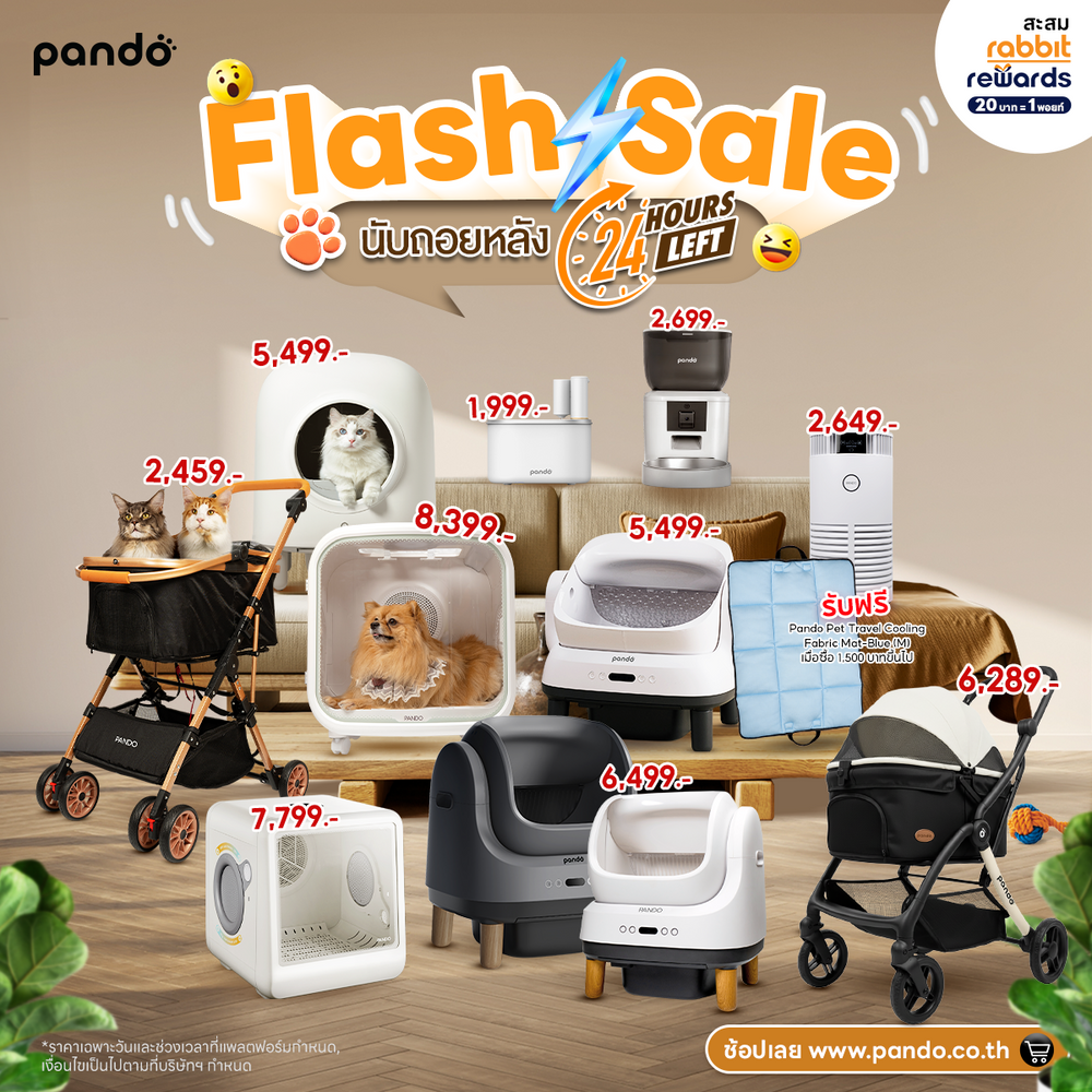 pet flash sale