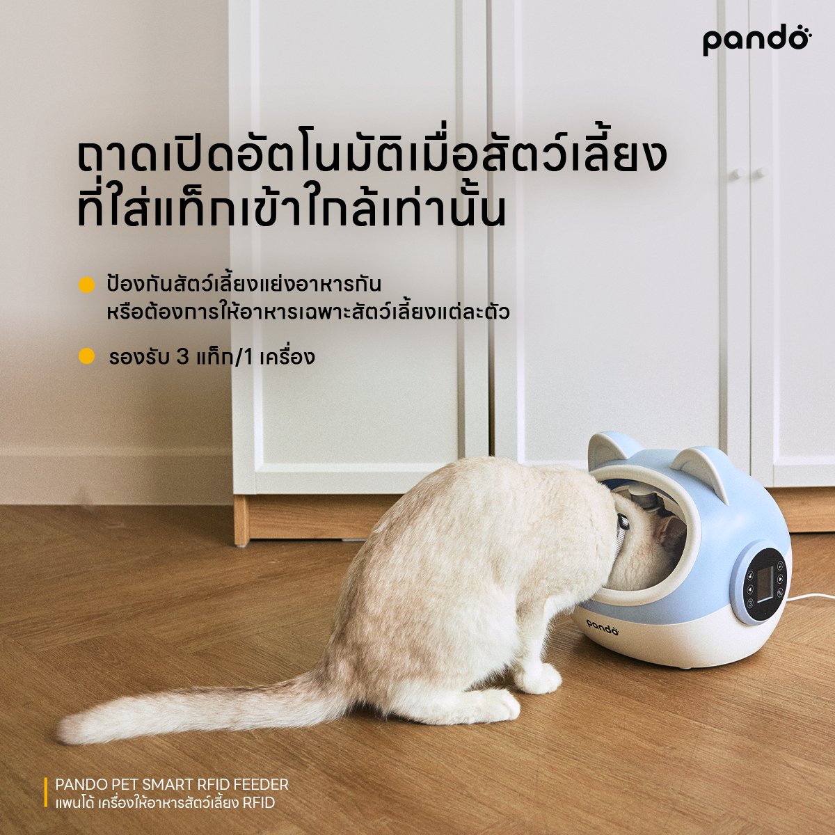 pando pet smart RFID feeder เครื่องให้อาหารอัตโนมัติ RFID