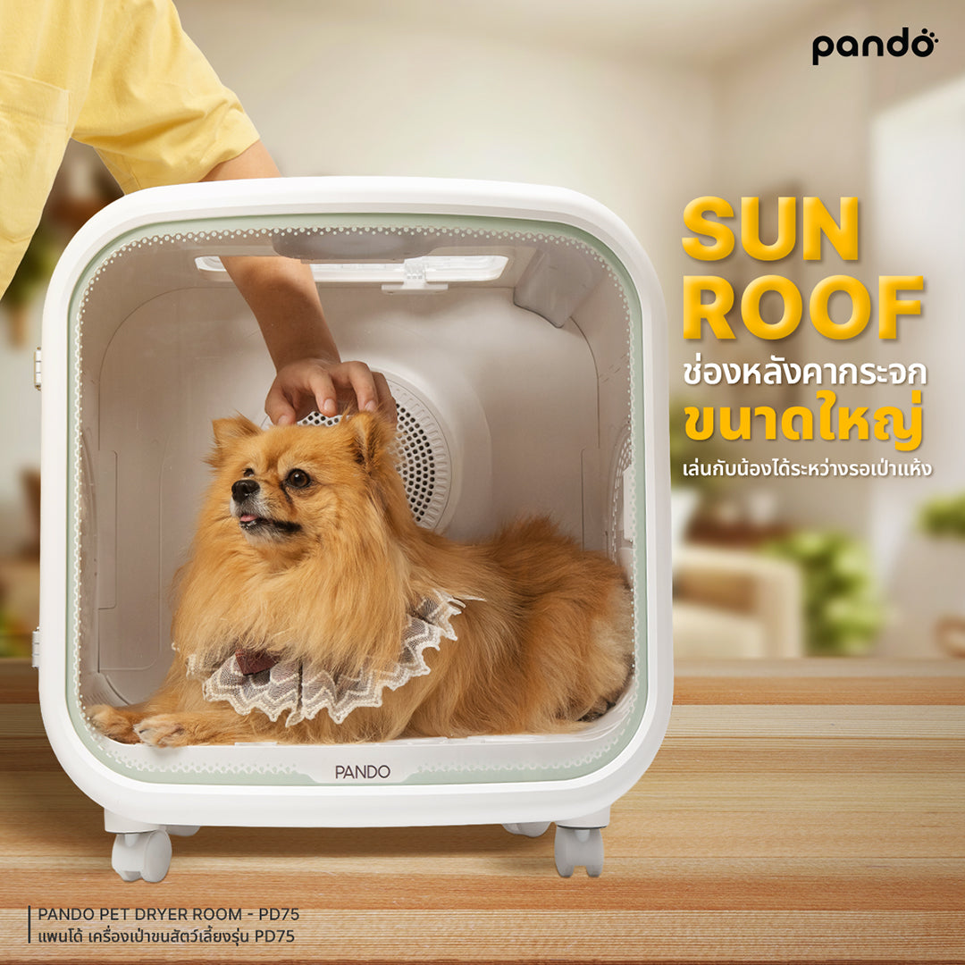 pando pet dryer room PD75 เครื่องเป่าขนสำหรับสัตว์เลี้ยง รุ่น PD75