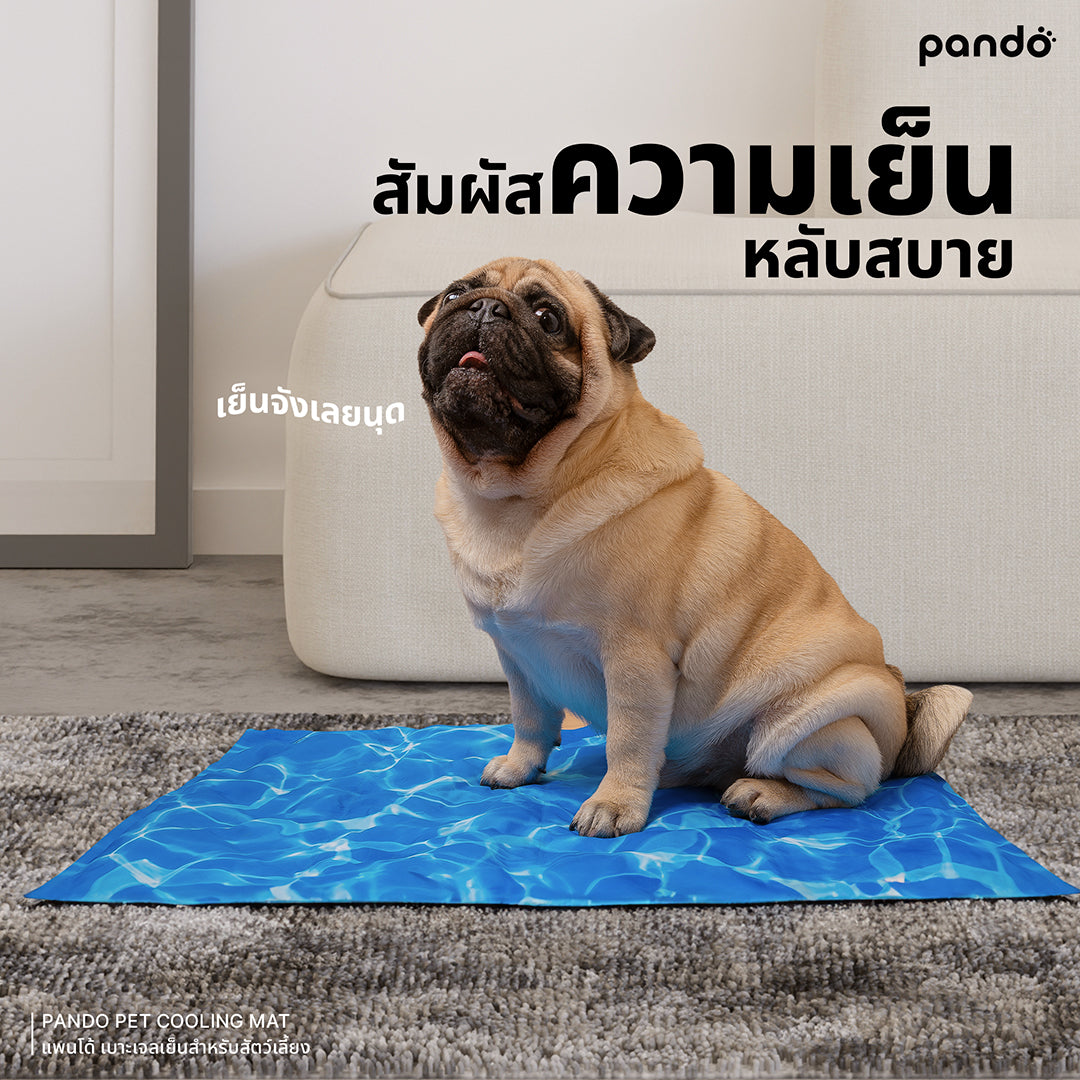 pando pet cooling mat - ocean blue เบาะเจลเย็นสำหรับสัตว์เลี้ยง สีโอเชียนบลู