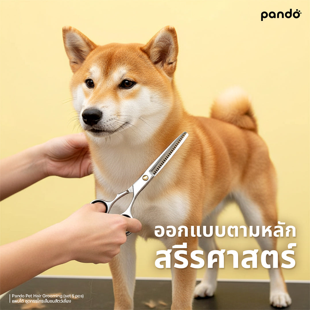 pando pet hair grooming (set 5 pcs) ชุดกรรไกรตัดขนสัตว์เลี้ยง 5 ชิ้น