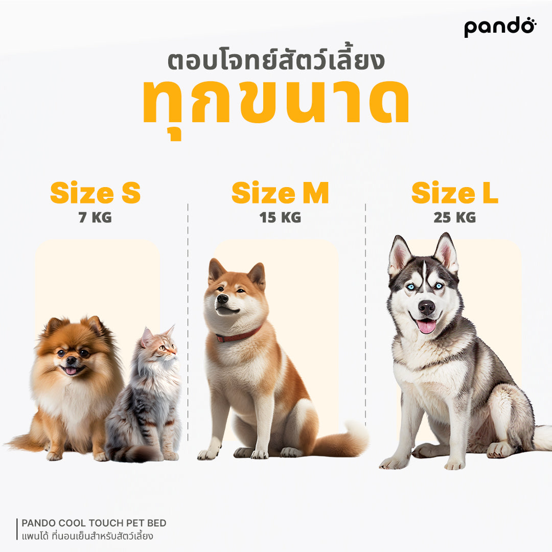 pando cool touch pet bed ที่นอนเย็นสำหรับสัตว์เลี้ยง