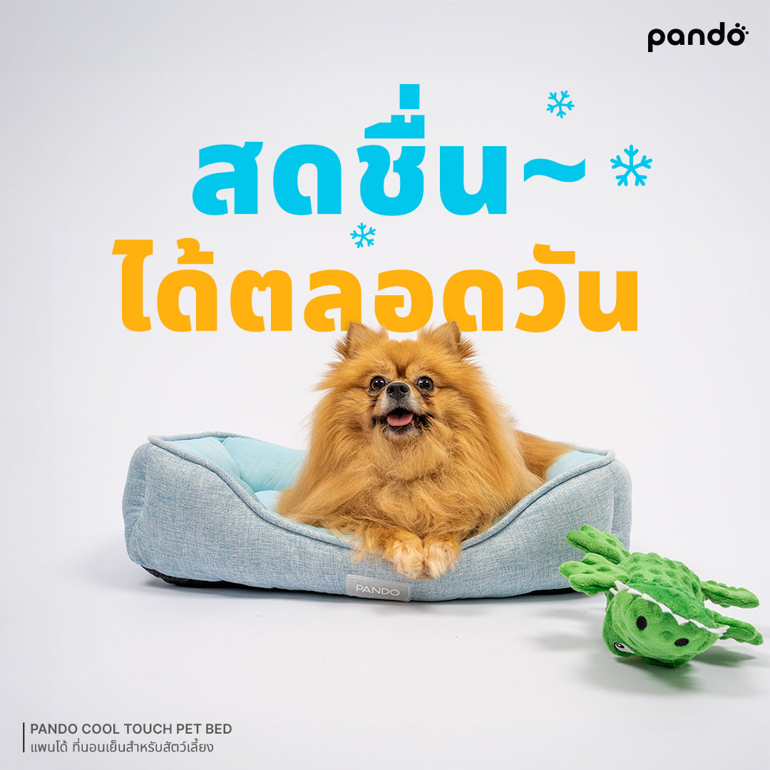 pando cool touch pet bed ที่นอนเย็นสำหรับสัตว์เลี้ยง