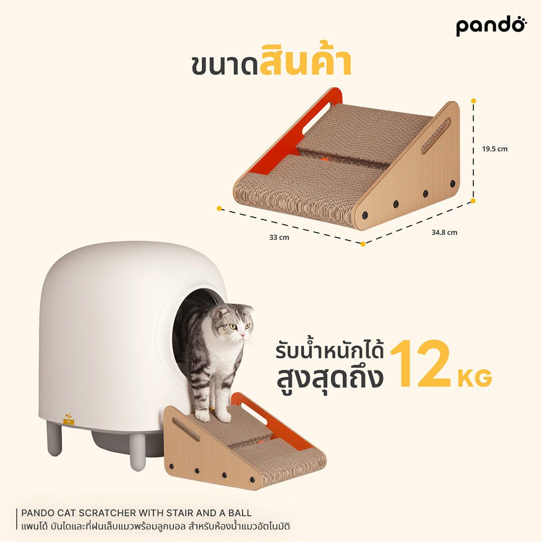 pando cat scratcher with stair and a ball บันไดและที่ฝนเล็บแมวพร้อมลูกบอล สำหรับห้องน้ำแมวอัตโนมัติ