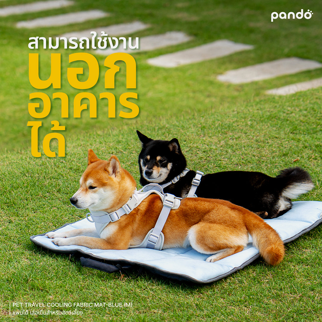 pando pet travel cooling fabric mat - blue เสื่อเย็นสำหรับสัตว์เลี้ยง 