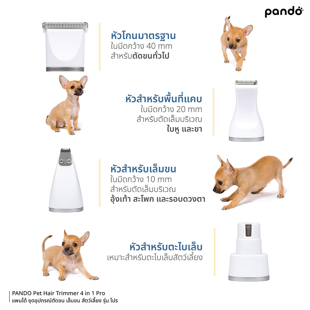 pando pet hair trimmer 4 in 1 pro ชุดอุปกรณ์ตัดขน เล็มขน สัตว์เลี้ยง รุ่น โปร