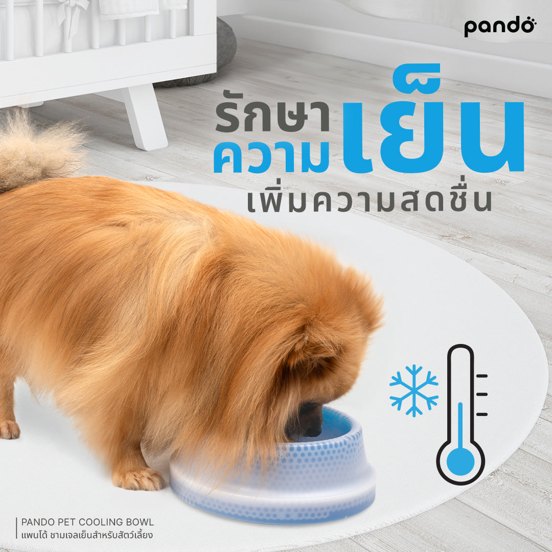 pando pet cooling bowl - ice blue ชามเจลเย็นสำหรับสัตว์เลี้ยง