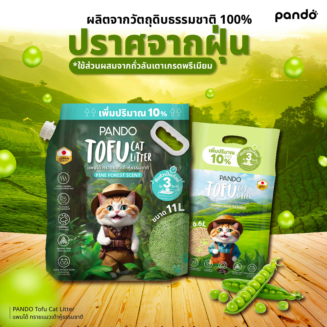 pando tofu cat litter ทรายแมวเต้าหู้ธรรมชาติ